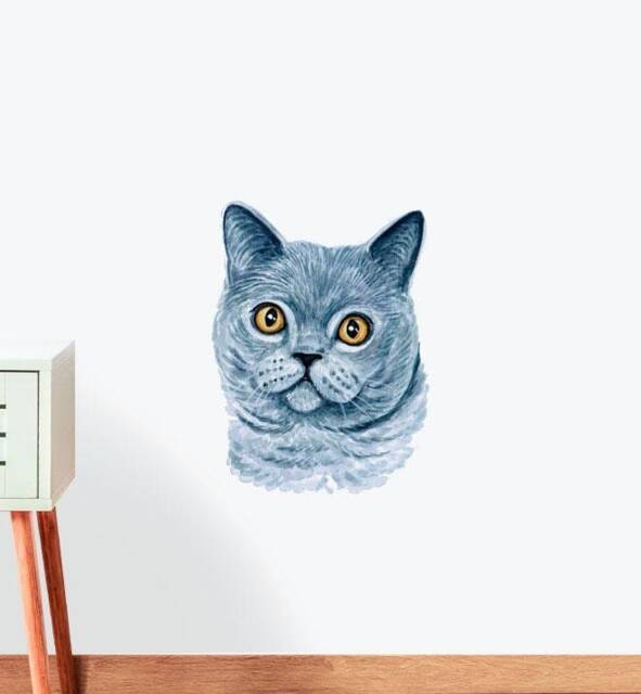 British Shorthair Cat Wall Sticker Decal - Dogs & Pets Stickers, Art, Decals, Kids Animals Decals