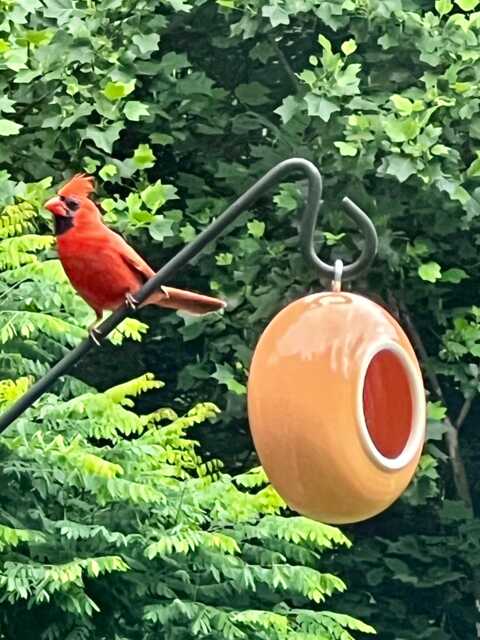 Handmade Ceramic Hanging Bird Feeder Modern Garden Decor - image 1