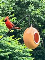 Handmade Ceramic Hanging Bird Feeder Modern Garden Decor - thumbnail 1