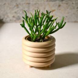 "Wood ""Coiled Planter" - thumbnail 3