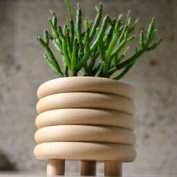 "Wood ""Coiled Planter" - thumbnail 2