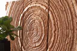 3D Wood Triptych Wall Art, Modern Trunk Panels - thumbnail 1