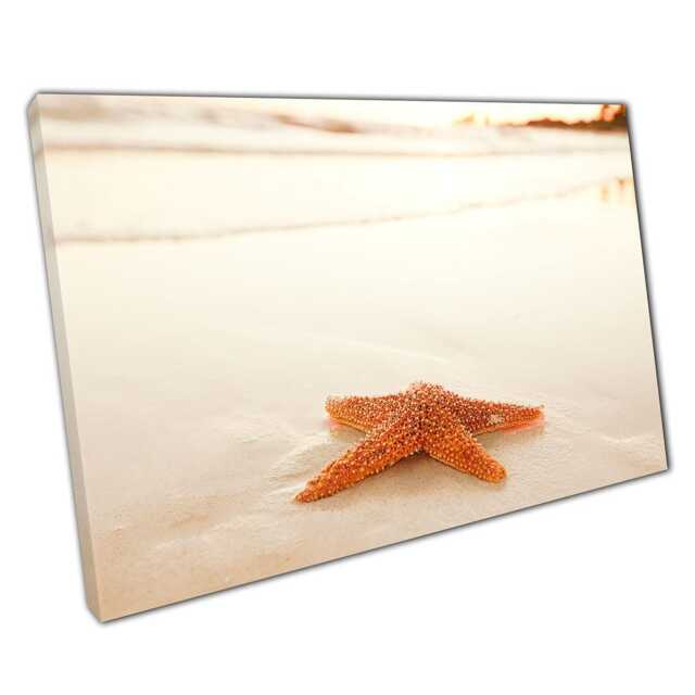Orange Starfish Sunrise Canvas Beach Seascape Photography Wall Art For Home & Office Decor - image 1
