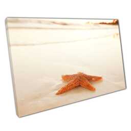 Orange Starfish Sunrise Canvas Beach Seascape Photography Wall Art For Home & Office Decor - thumbnail 1