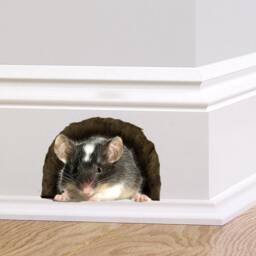 Mouse in Hole Wall Decal Sticker, Cute Mural Graphic For Home Decor, Vinyl Skirting Board Animal Art - thumbnail 1