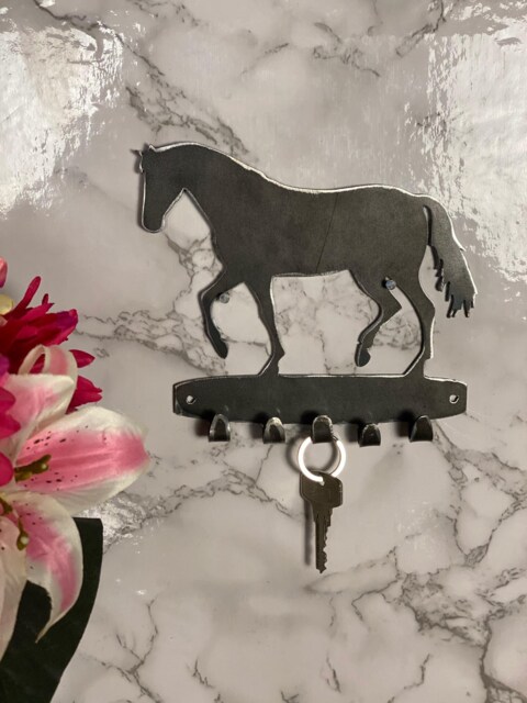 Horse Pony Equestrian Equine Modern Art Key Hook Rack Brushed Steel Home Design Present Gift Ideas - image 1