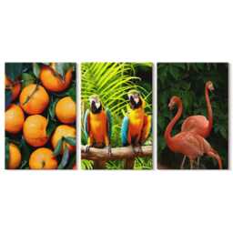 Canvas Set Of 3 Wall Art - Parrots & Flamingos in The Tropics, Orange Large Art, Plants Flowers Hanging Piece - thumbnail 2