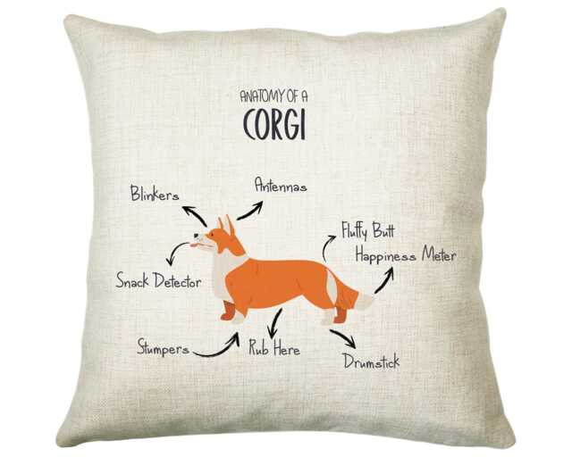 Anatomy Of A Corgi Funny Gift For Him Or Her Cushion Pillow Bedroom Decor Cs411 - image 1
