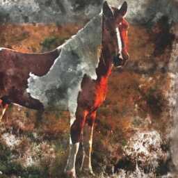 "Equestrian Horse Country Print Pillow Scatter Cushion Covers - 16"" X 16" - thumbnail 3