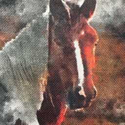 "Equestrian Horse Country Print Pillow Scatter Cushion Covers - 16"" X 16" - thumbnail 2