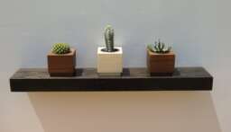 Floating Modern Wood Shelves - Wall Shelf For Any Occasion