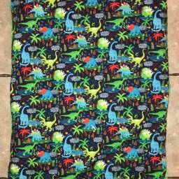 Custom Embroidered Dinosaur Nap Mat Cover, Blanket, Pillow & Case - thumbnail 3