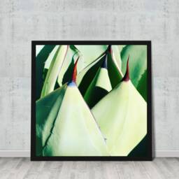 "Botanical Art, Digital Download, Printable Arizona, Fine Colorful Bright Wall Decor, Cactus Modern Art ""Points" - thumbnail 3
