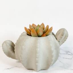 Concrete Cactus Planter - Plant Pot Indoor Succulent Small Decor Black Friday - thumbnail 3