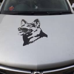 German Sheperd Guard Dog Alsatian K9 Security Car Van Bonnet Vinyl Side Sticker Wall Art Hood Graphic Window Door Sign Motorhome - thumbnail 2