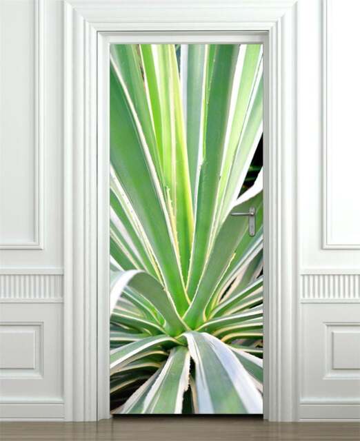 Aloe Vera Wall Decal, Sticker, Cactus Nature Door Decor, Mural, Cover Wrap - image 1