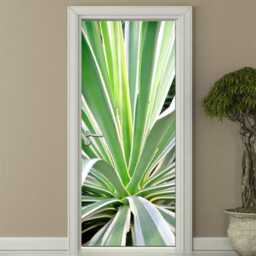 Aloe Vera Wall Decal, Sticker, Cactus Nature Door Decor, Mural, Cover Wrap - thumbnail 2