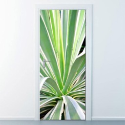 Aloe Vera Wall Decal, Sticker, Cactus Nature Door Decor, Mural, Cover Wrap - thumbnail 3