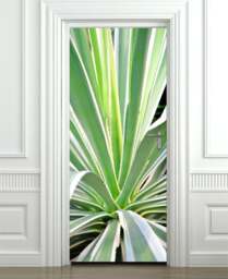 Aloe Vera Wall Decal, Sticker, Cactus Nature Door Decor, Mural, Cover Wrap - thumbnail 1