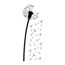 Large Dandelion Wall Decal 150cm Vinyl Flower Art - thumbnail 2