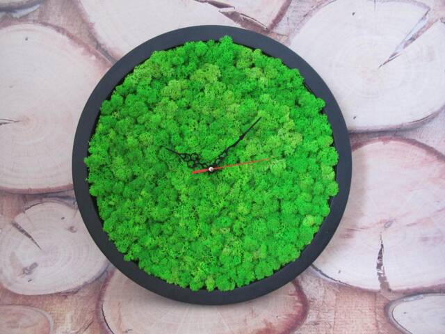 Wooden Clock With Preserved Moss , Eco Friendly Wall Clock, Modern Botanical Home Decor - image 1