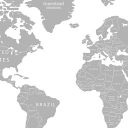 World Map Wall Decal Vinyl Stickers - Detailed Large Art Print Grey Office Decor Travel Gift - thumbnail 4