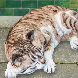 Sleeping Concrete Kitten Statue Stone Feline Sculpture Striped Cat Figurine Outdoor Pet Memorial Ornament Handmade Cement Kitty Lover Gift - thumbnail 4
