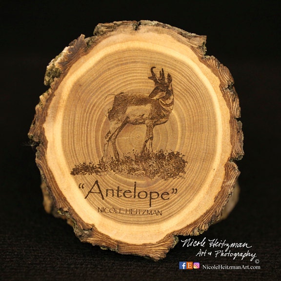 Christmas Gift For Him Antelope Art Father's Day Men Wood Coaster Man Cave Wildlife Cabin Lodge Decor Pronghorn