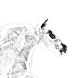 Falabella - Wooden Stand For Candles/Pens With The Image Of A Horse New Collection - thumbnail 2