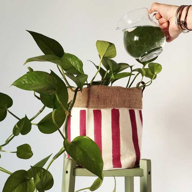 Burgundy Canvas Planter Cover, Hand Painted Striped Plant Pot, Cozy Home Decor, Indoor Fabric Basket, Lover Gift - image 1