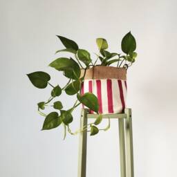 Burgundy Canvas Planter Cover, Hand Painted Striped Plant Pot, Cozy Home Decor, Indoor Fabric Basket, Lover Gift - thumbnail 3
