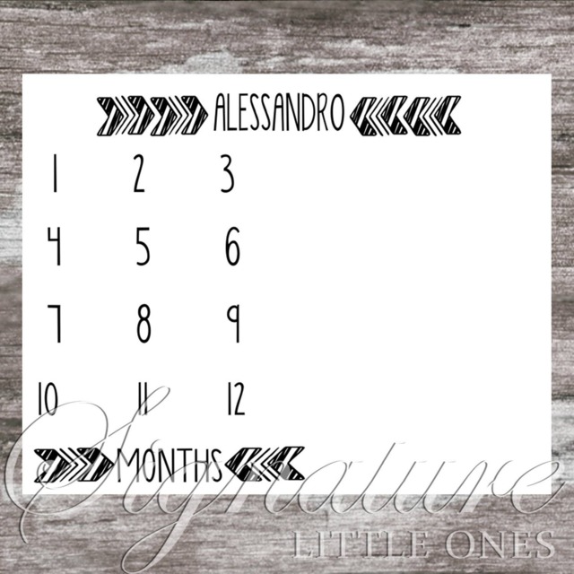 Baby Arrows Milestone Blanket, Personalized Girl Monthly Name Minky, Fleece, Shower Gift - image 1