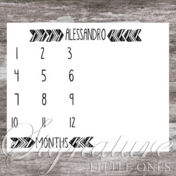 Baby Arrows Milestone Blanket, Personalized Girl Monthly Name Minky, Fleece, Shower Gift