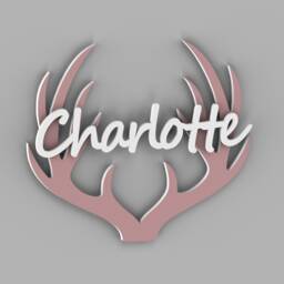 Woodland Nursery Deer Antlers Name Sign - Rustic Decor & Wall Art Farmhouse Baby Girl Room Accent
