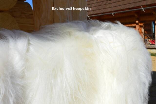 Icelandic White Genuine Sheepskin Lambskin Sheep Skin Rug Pelt Long Wool S-xxxl - image 1