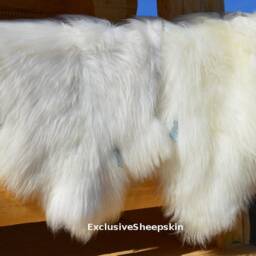 Icelandic White Genuine Sheepskin Lambskin Sheep Skin Rug Pelt Long Wool S-xxxl - thumbnail 2