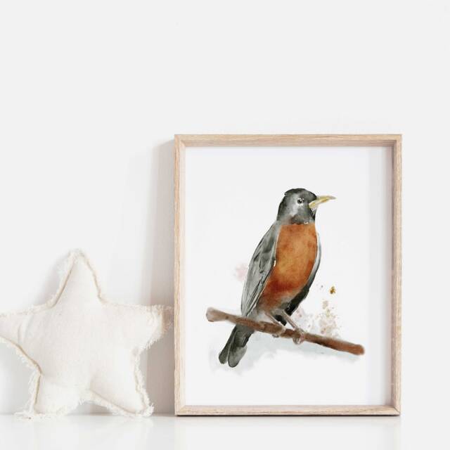 Quebec Birds Illustration/Authentic Print Hummingbird Canada Goose Swallow Falcon American Robin Geese Puffin Chickadee - image 1