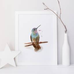 Quebec Birds Illustration/Authentic Print Hummingbird Canada Goose Swallow Falcon American Robin Geese Puffin Chickadee - thumbnail 2