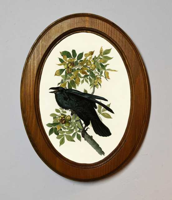 Light Oak Oval Wooden Framed Picture, John James Audubon, Raven, Art Print, Wall Hanging, Antique Vintage Style - image 1