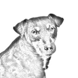 Jagdterrier - Wooden Stand For Candles/Pens With The Image Of A Dog New Collection - thumbnail 2