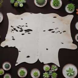 Authentic Large Brown & White Cowhide Rug - Statement Piece For Sophisticated Decor - 56x60 Inches - thumbnail 2
