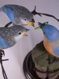 Eastern Bluebird Female With 2 Babies Hand Carved Wooden Bird - thumbnail 3