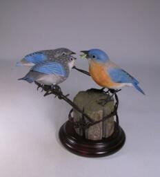 Eastern Bluebird Female With 2 Babies Hand Carved Wooden Bird - thumbnail 2