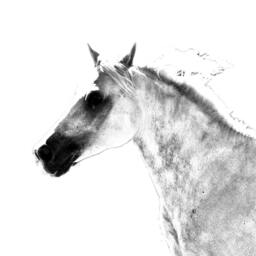 Barb Horse - Wooden Stand For Candles/Pens With The Image Of A Horse New Collection - thumbnail 2