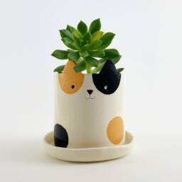 Handmade Cat Pottery Planter Spotted Succulent Pot With Drainage - thumbnail 3