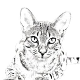 Egyptian Mau - Wooden Stand For Candles/Pens With The Image Of A Cat New Collection - thumbnail 2