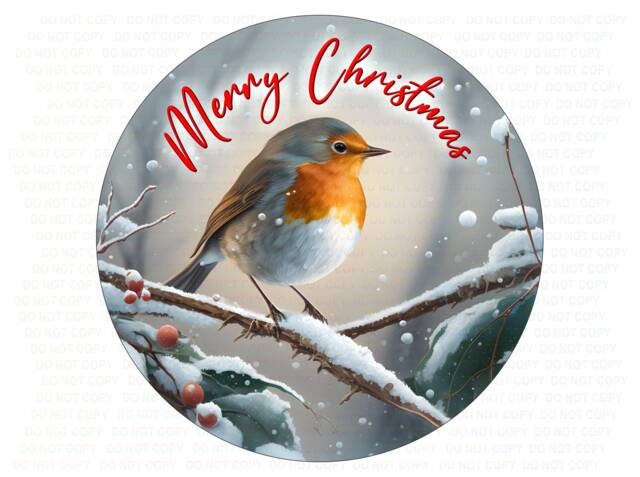 Robin Xmas Wreath Sign, Robins Appear, Christmas Robin in Holly, Plaque - image 1