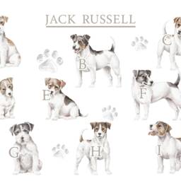 Personalised Jack Russell Sharing The Sofa Dog Cushion Cover - Owner Gift Lover - thumbnail 2