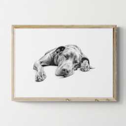 Sleeping Great Dane Print, Dog Vintage Sketch, Farmhouse Decor, Gifts - thumbnail 1