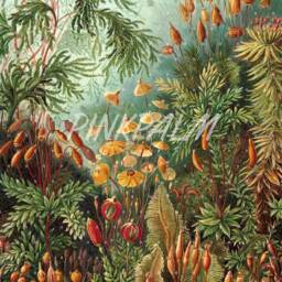 Tropical Jungle - Wall Tapestry Tapestry Hangings Wanderlust Bohemian Home Decor Dorm T#71 - thumbnail 4